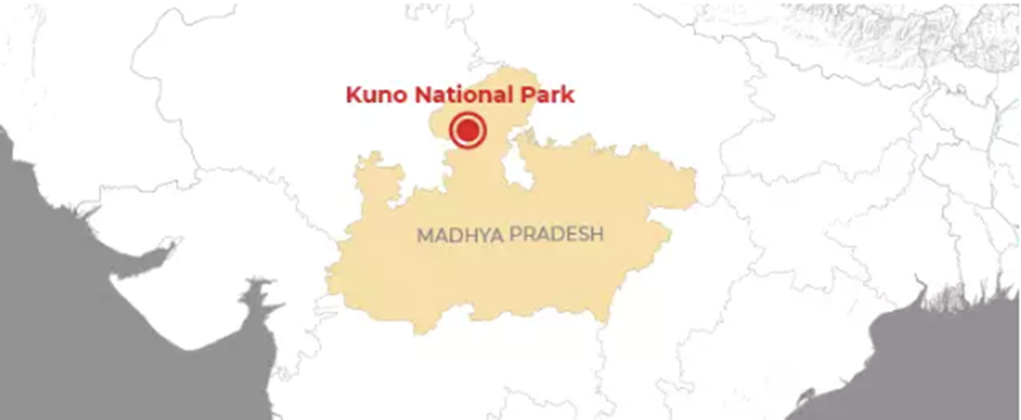 About Kuno National Park