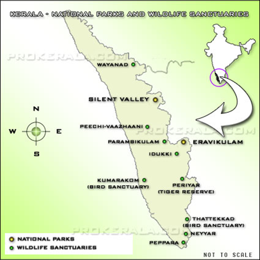 About Idukki Wildlife Sanctuary