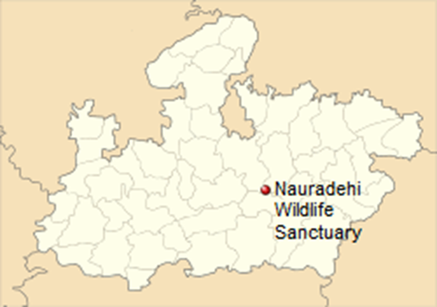 About Nauradehi Wildlife Sanctuary