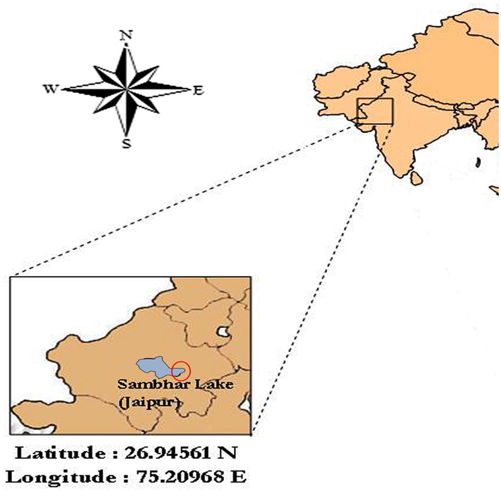 About Sambhar Lake