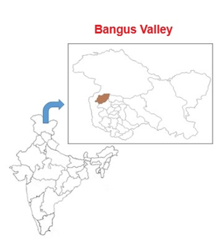 About Bangus Valley: