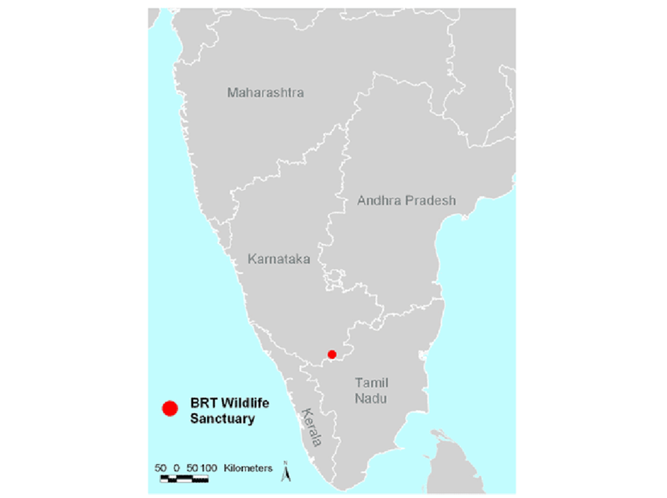 About Biligiri Rangaswamy Temple (BRT) Tiger Reserve