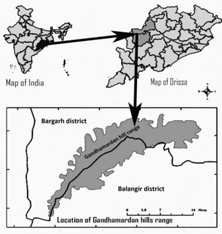 About Gandhamardan Hills