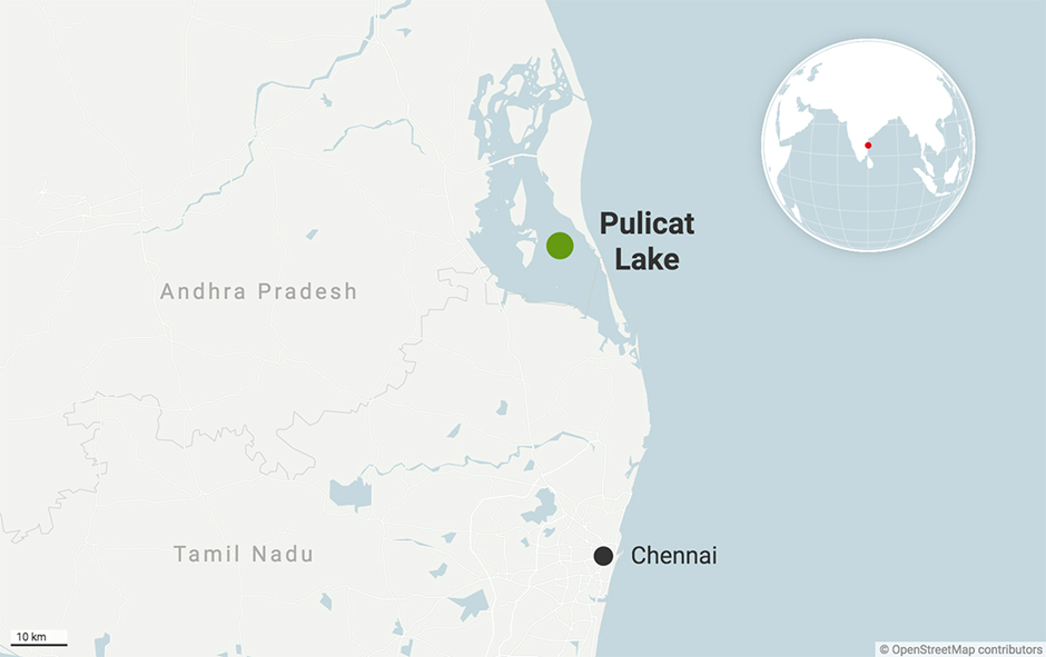 About Pulicat Lake