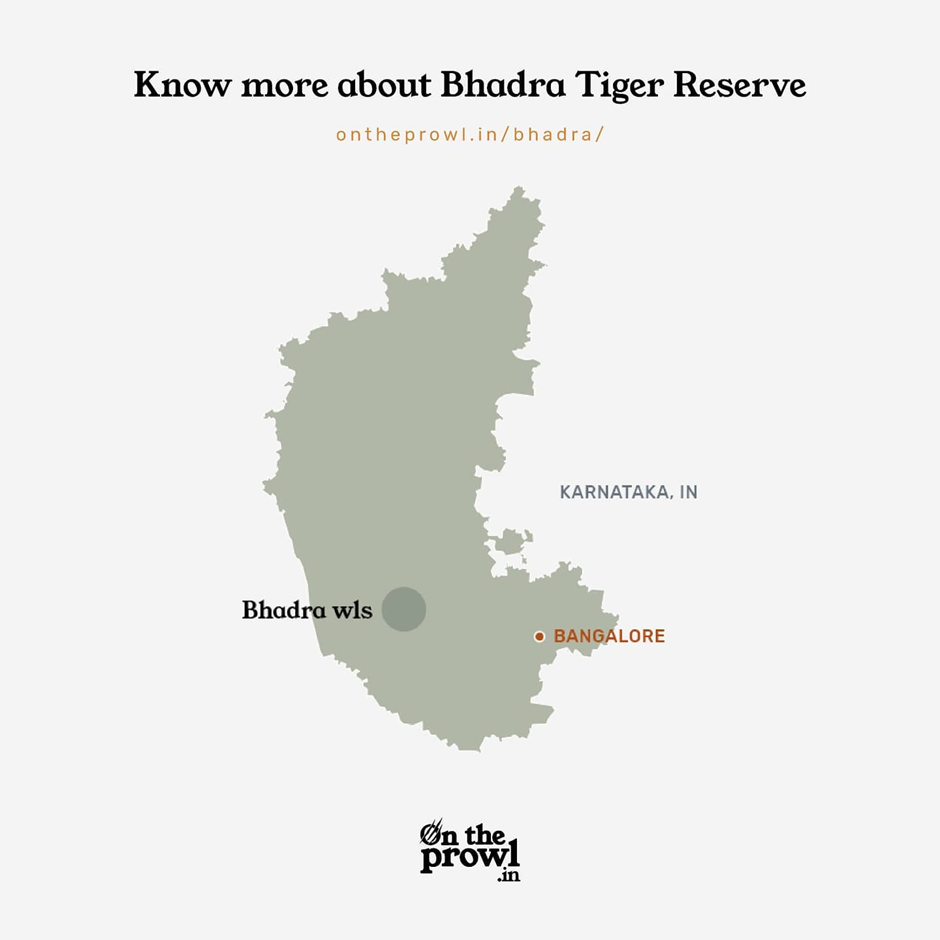About Bhadra Wildlife Sanctuary