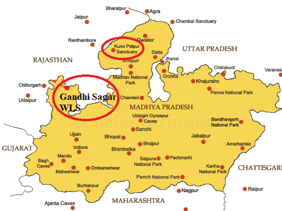 About Gandhi Sagar Wildlife Sanctuary
