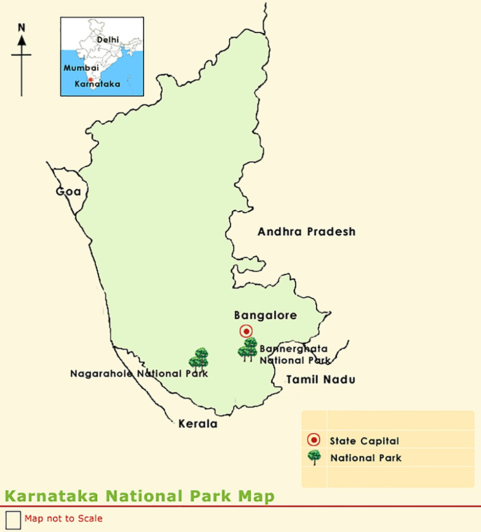 About Bannerghatta National Park