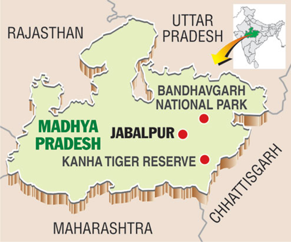  About Bandhavgarh Tiger Reserve