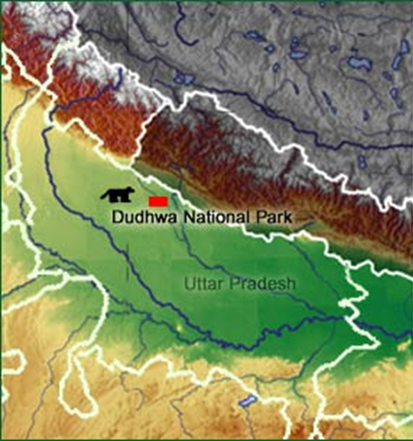 About Dudhwa Tiger Reserve