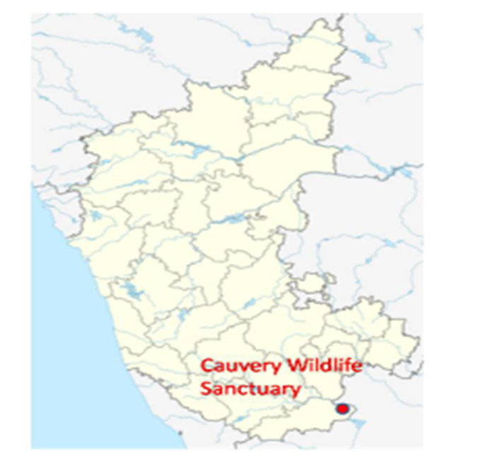 About Cauvery Wildlife Sanctuare