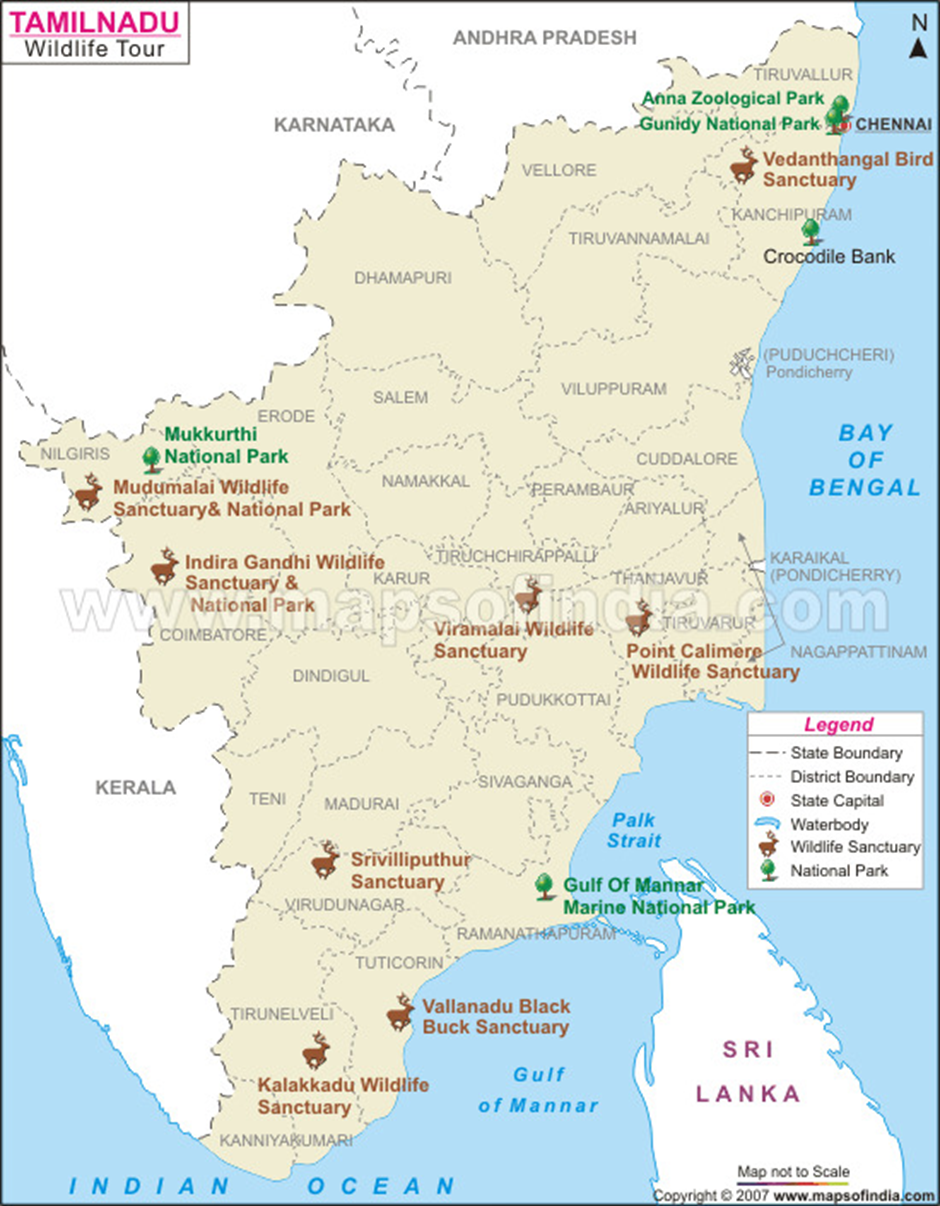About Guindy National Park