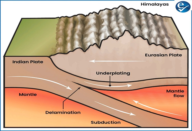 Indian Continental Plate is splitting apart