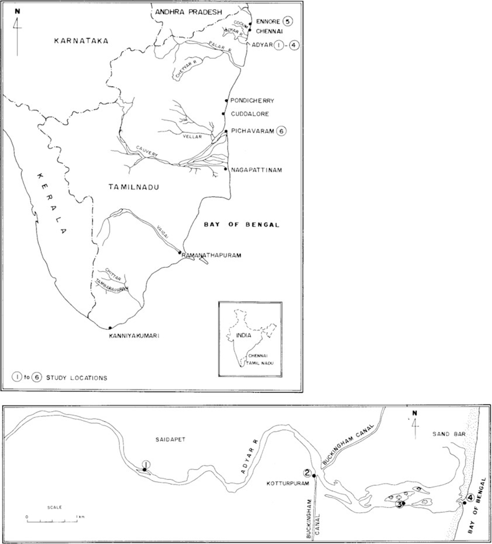  About Adyar River: 