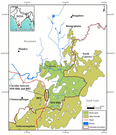Male Mahadeshwara Hill WildLife Sanctuary