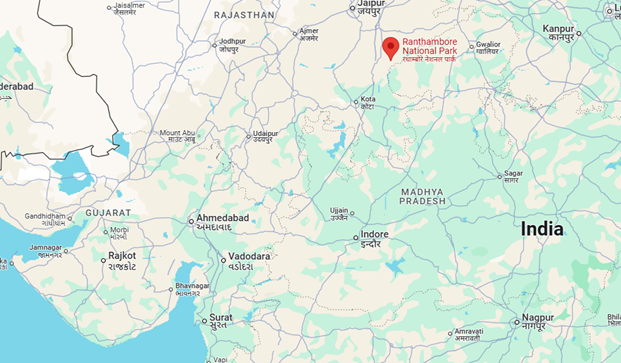 Ranthambore Tiger Reserve