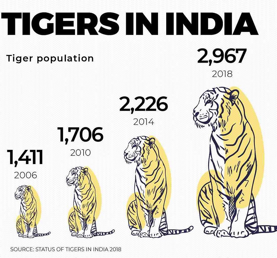 Project Tiger | ENSURE IAS