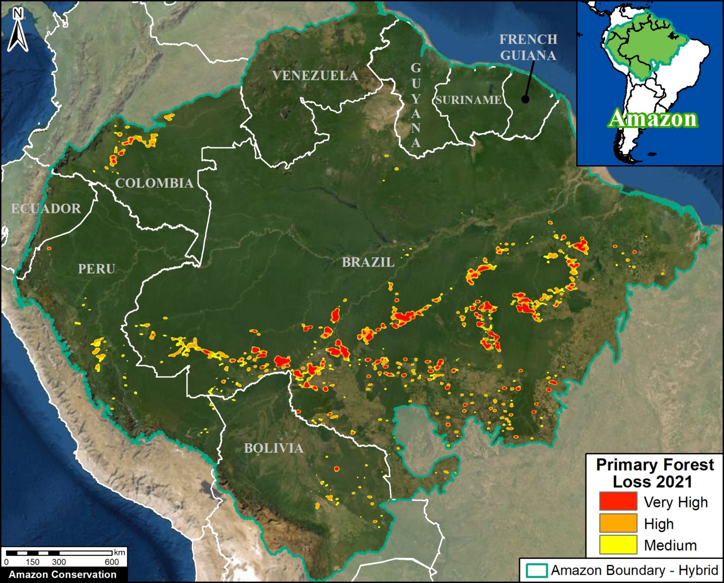 Amazon Rainforest | ENSURE IAS