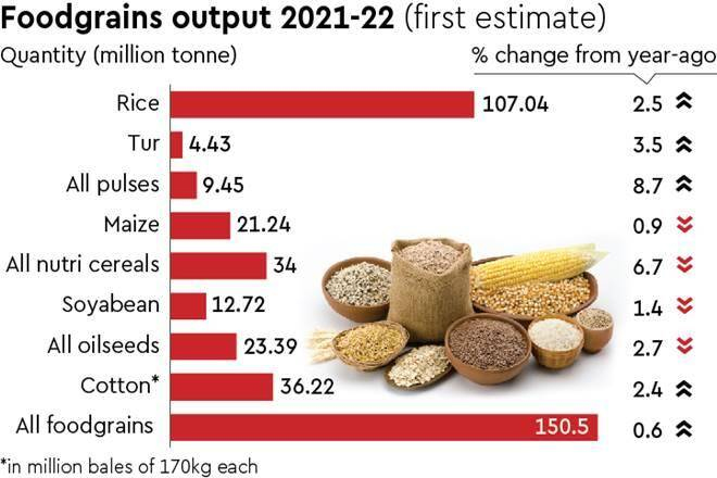 img-Free Grains