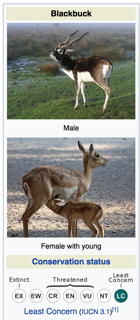img-Increase in Blackbuck Population