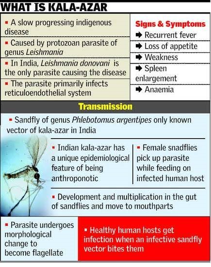 img-India Towards the Elimination of Kala Azhar Disease