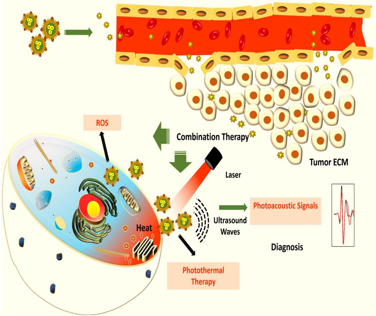 HYBRID NANOPARTICLES TO KILL CANCER CELLS