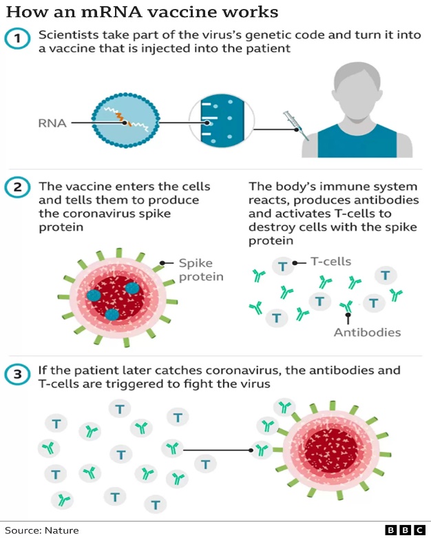 NOBEL PRIZE IN PHYSIOLOGY OR MEDICINE 2023 | ENSURE IAS