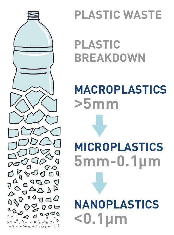 NEW CHEMICALS IN PLASTICS