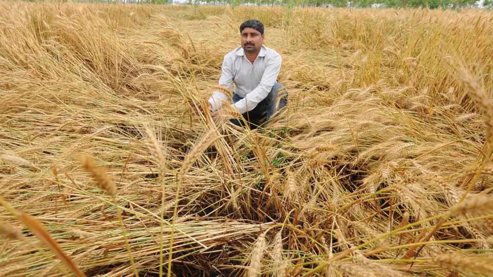 img-Unseasonal Rains and their Impact