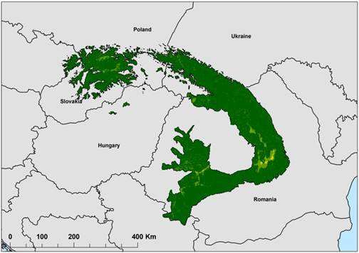 About Carpathian Mountains: