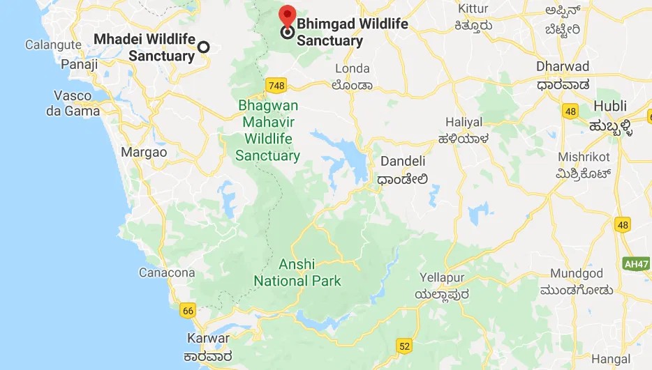 About Bhimgad Wildlife Sanctuary: