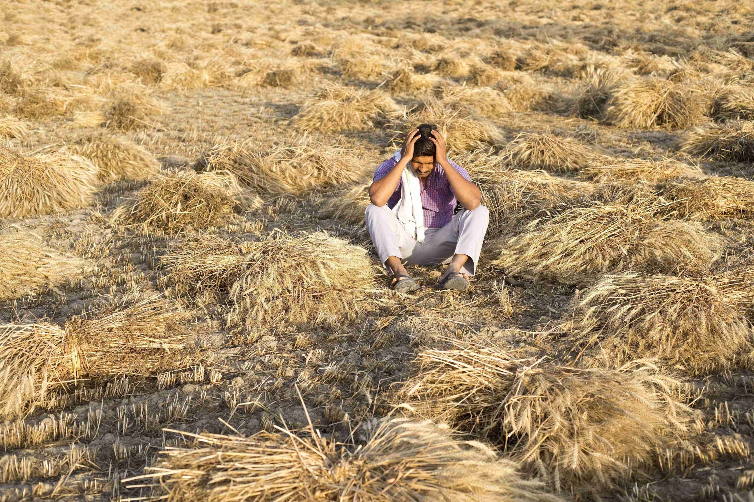 img-Farmers Raise Concerns Over Poor-Quality Seeds, Pesticides, and Loss of Farmland