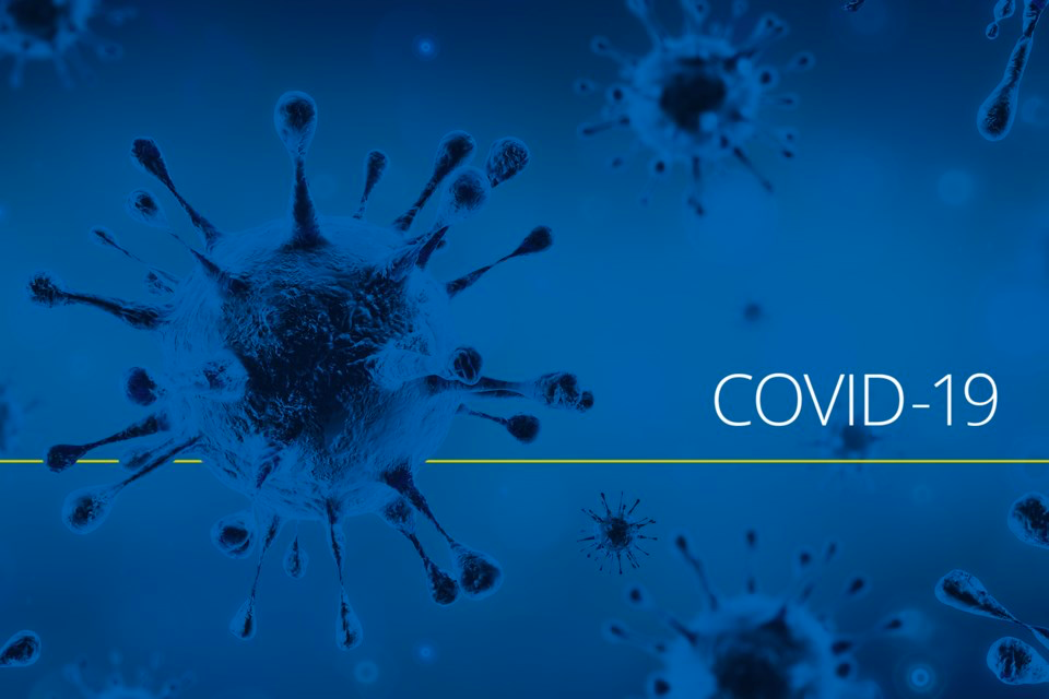 Impact of Coronavirus on the Education Industry